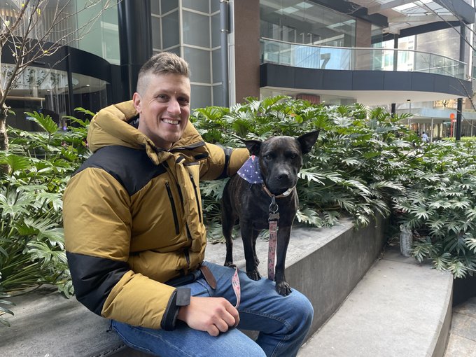 Tech Expert Uses AI Tools to Create Experimental Vaccine That Shrinks Dog’s Tumor